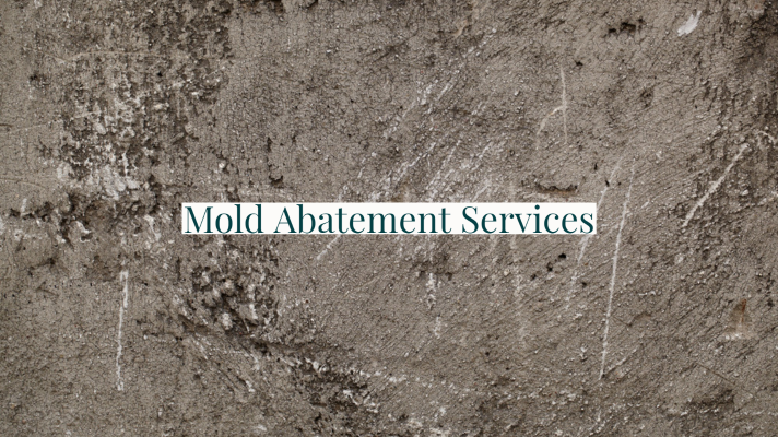 Mold Abatement Services