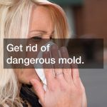 get-rid-of-dangerous-mold-with-mold-remediation