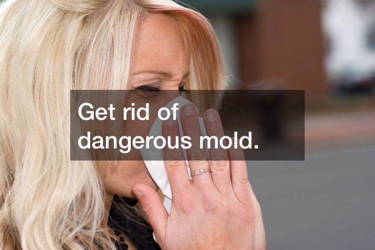get-rid-of-dangerous-mold-with-mold-remediation