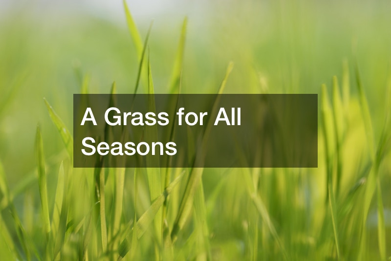 A Grass for All Seasons