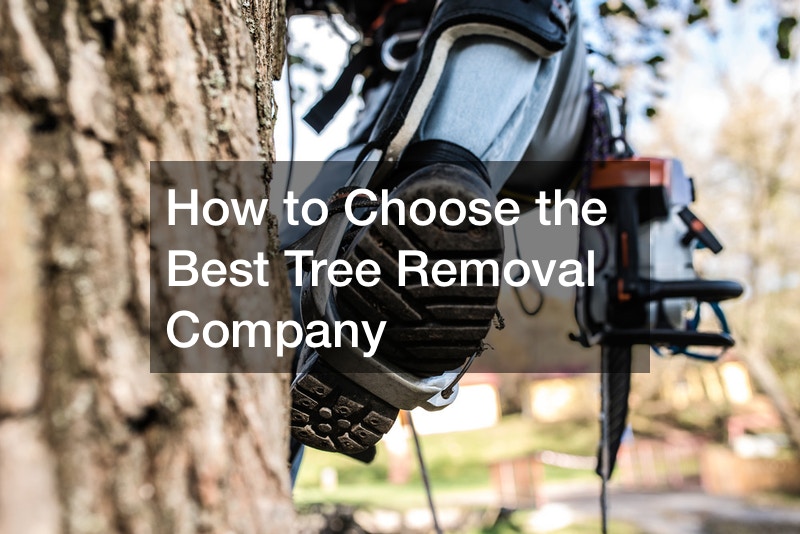 How to Choose the Best Tree Removal Company