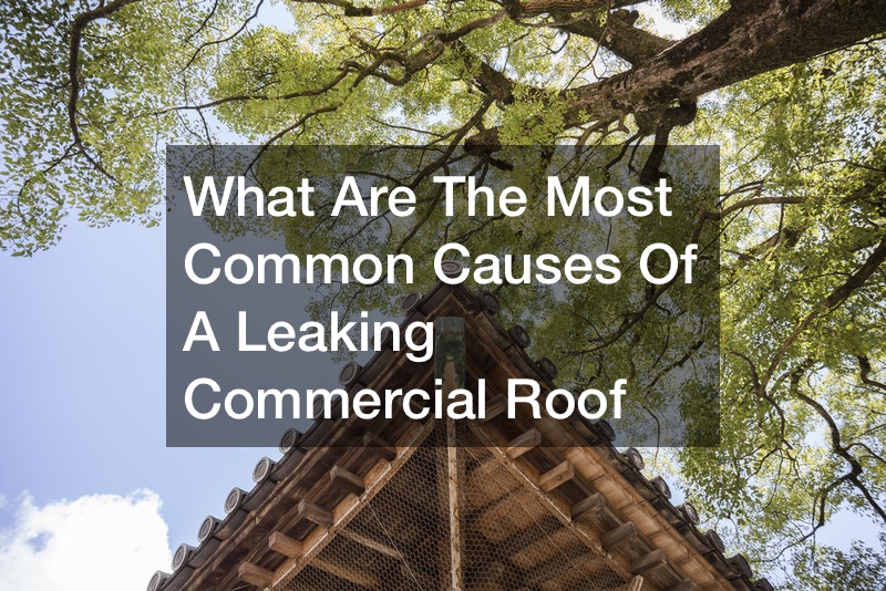 What Are the most Common Causes of a Leaking Commercial Roof