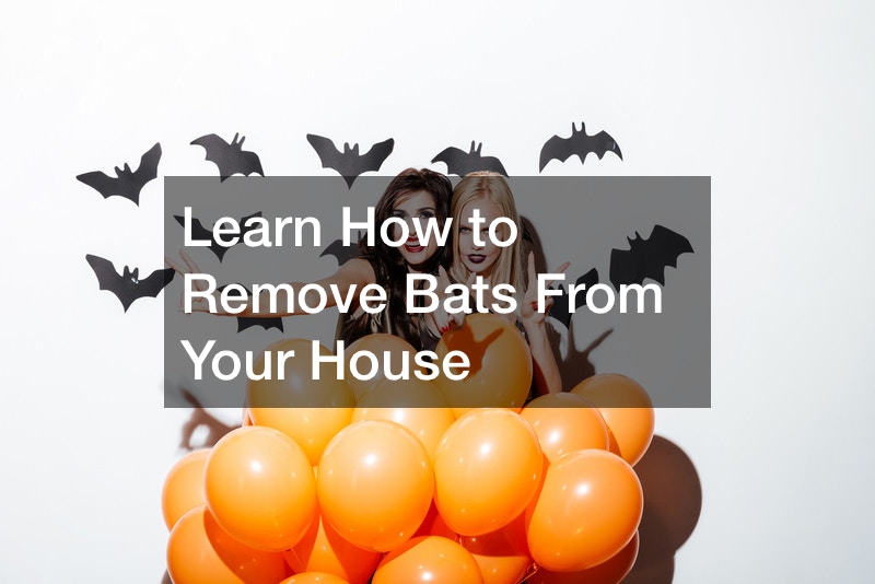 Learn How to Remove Bats From Your House