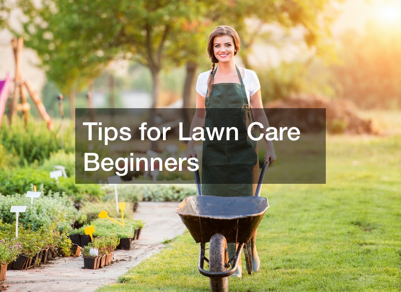 Tips for Lawn Care Beginners