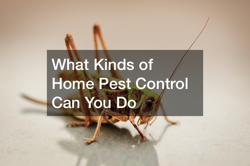 What Kinds of Home Pest Control Can You Do What Kinds of Home Pest Control Can You Do