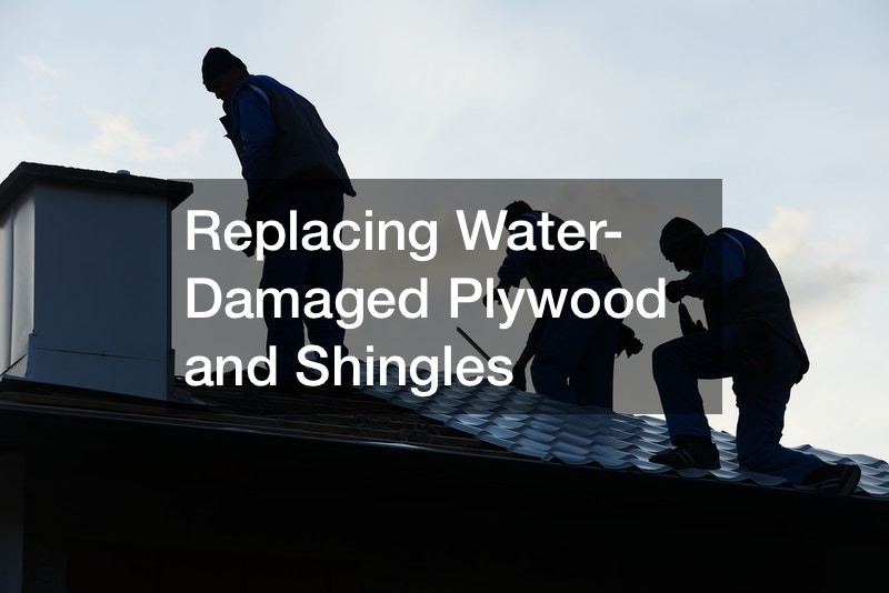 Replacing Water-Damaged Plywood and Shingles
