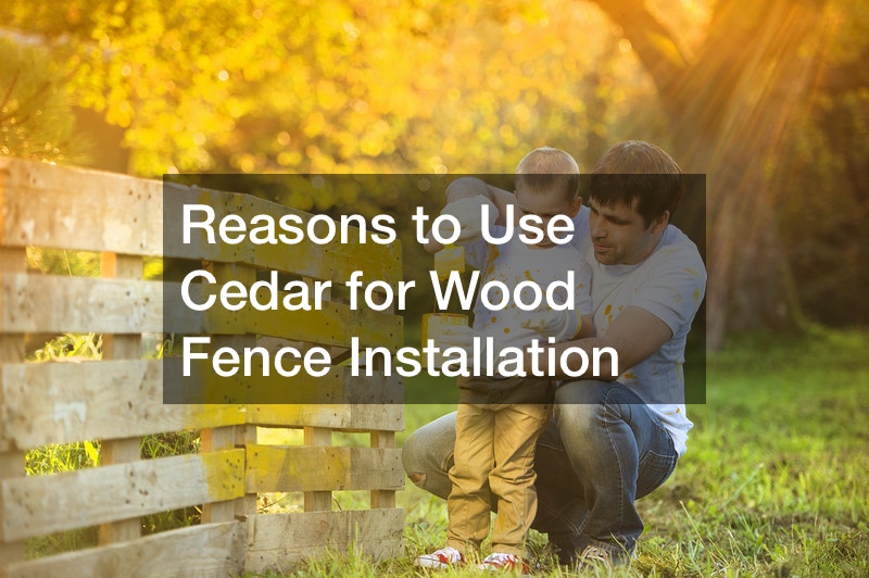 Reasons to Use Cedar for Wood Fence Installation