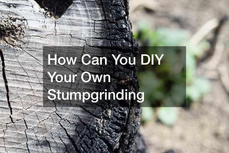 How Can You DIY Your Own Stumpgrinding