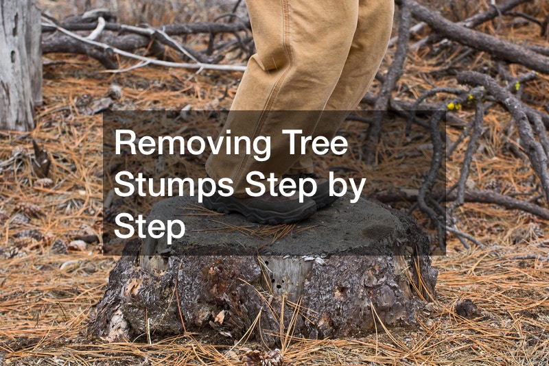 Removing Tree Stumps Step by Step