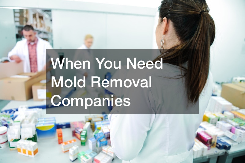 When You Need Mold Removal Companies