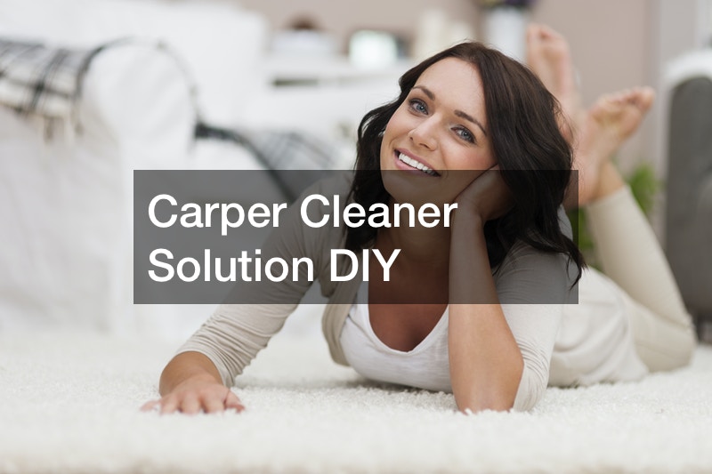 Carper Cleaner Solution DIY