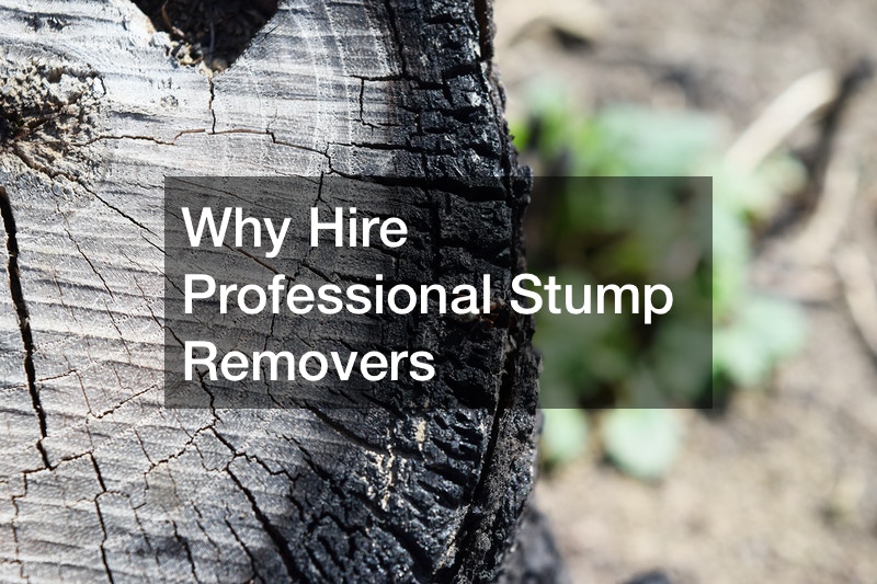 Why Hire Professional Stump Removers