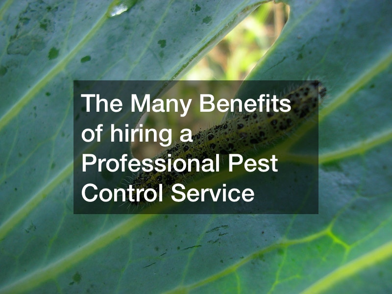 The Many Benefits of hiring a Professional Pest Control Service
