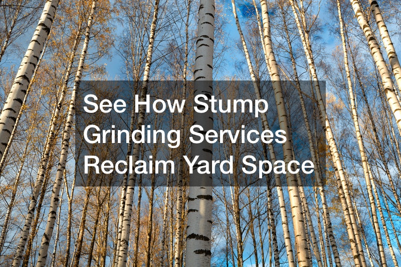 See How Stump Grinding Services Reclaim Yard Space