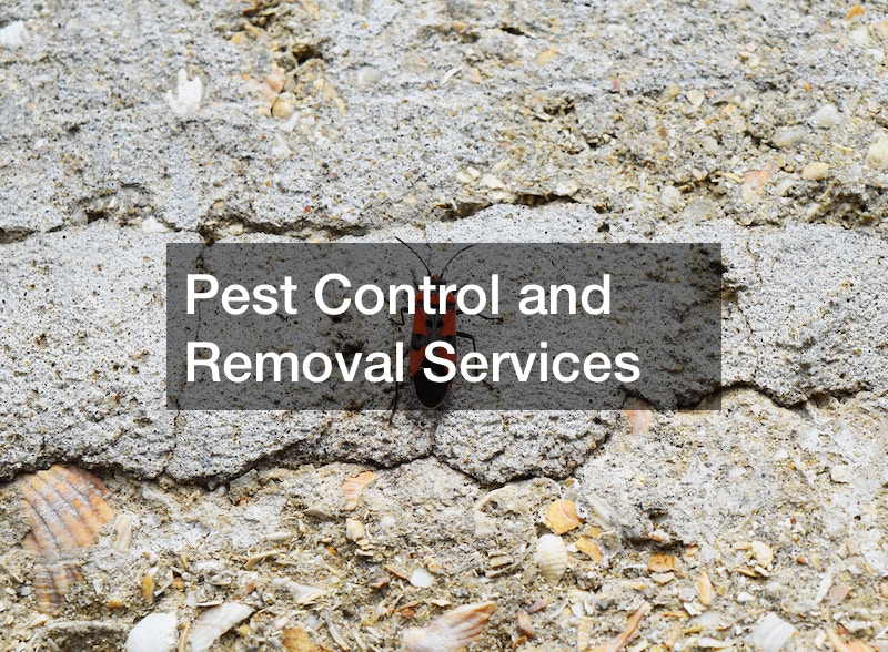 Pest Control and Removal Services