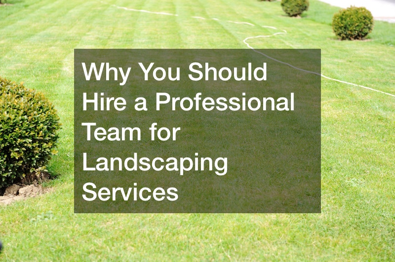 Why You Should Hire a Professional Team for Landscaping Services