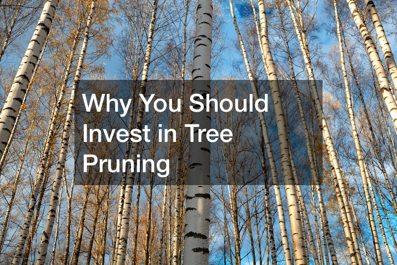 Why You Should Invest in Tree Pruning