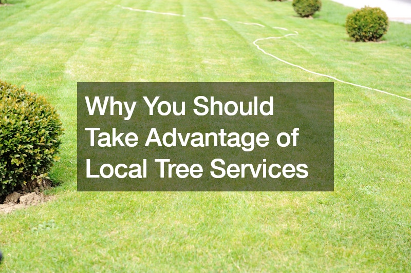 Why You Should Take Advantage of Local Tree Services