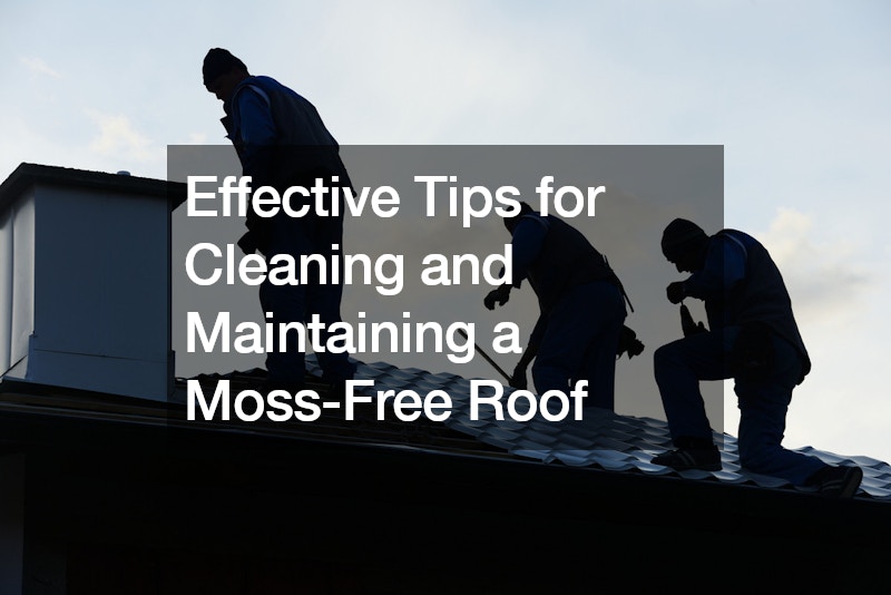 Effective Tips for Cleaning and Maintaining a Moss-Free Roof