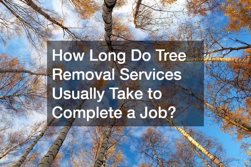 How Long Do Tree Removal Services Usually Take to Complete a Job?